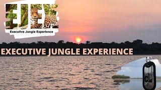 EJEx - Executive Jungle Experience