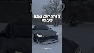 Cocky Tesla Owner STRANDED IN A SNOW STORM 😳🥶 CGI IRL