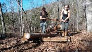 Working the land with an 8n tractor