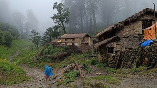 Beautiful Nepali Himalayan Village Traditional Lifestyle | Simple The Best Rual Village Life Rain