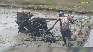 sawah berlumpur dalam!!!traktor sawah quick g1000 menggarap sawah berlumpur dalam