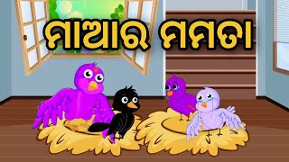 Maa Ra Mamata || Odia Stories || Odia Gapa || Tuni Chidia || Bird Story || Moral Story || Kahani ||