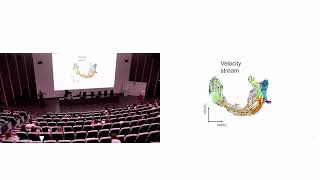 09 Анализ данных scRNA Seq с учётом сплайсинга