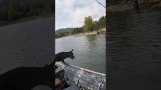 Fishing with man’s best friend Henry