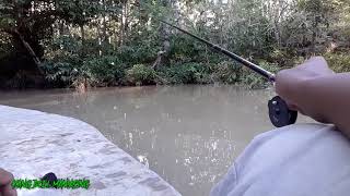 Micro Fishing Hidden Spot