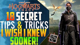 Playing Hogwarts Legacy in 2024?  Here's some Tips and Tricks you Should know!