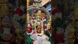 Madurai Sri Srinivasa Perumal Sravanam Purapaadu Dhivya Sevai #srinivasaperumal #ஸ்ரீநிவாசபெருமாள்