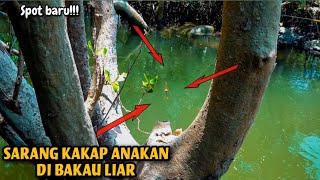 Rezeki Tak Terduga!!! Mancing Di Sarang Ikan Sekali Dapat Bisa Buat Makan Banyak Orang