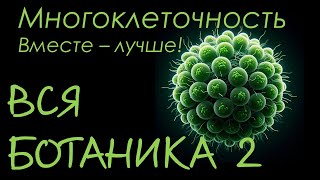 Вся Ботаника №2: Многоклеточность