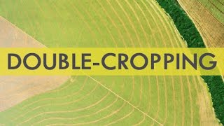 Double cropping: an enormous potential for the sustainable production of biogas - English subtitles