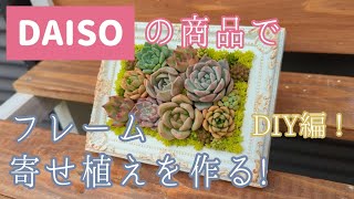 DAISOの商品でフレーム寄植えを作ります！DIY編！