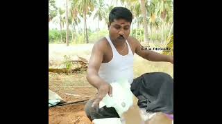 Gpmuthu Letter Comedy 🤣🔥 GPmuthu new funny Videos ! Thug life ! #shorts #gpmuthu #gpmuthushorts