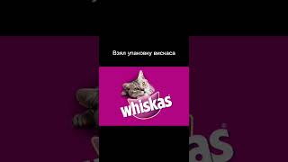 Не могли не воспользоваться новым трендом, чтобы объявить вам о новом формате: Магнолия СИТИ!