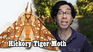 Relationship Advice w/ The Poisonous Hickory Tiger Moth AKA White Caterpillar!