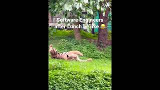 Software Engineers After Lunch Be Like 🤣🤣