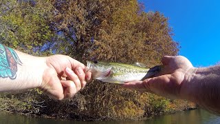 Fishing around Redbud Trail on Lady Bird