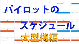 パイロットの勤務スケジュール　大型機編