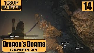 Dragons Dogma Dark Arisen gameplay walkthrough Part 14 - The Watergod's Altar #2