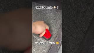 Sierść w aucie 🐶? To coś dla Ciebie 🫵 #shorts #viral #viralvideo