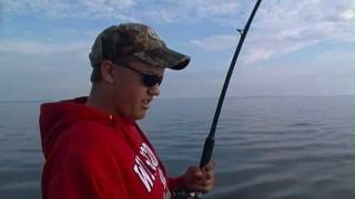 Monster King Salmon on Lake Michigan