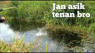 MANCING BETOK/PAPUYU DI PARIT KECIL IKANYA BANYAK