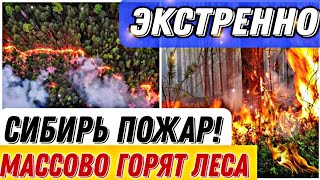 Важно! 24.04 Большой пожар в России. На территории Сибири массово горят леса!