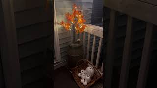 Fall Porch simple #thriftydecor #falldecor #fallporch