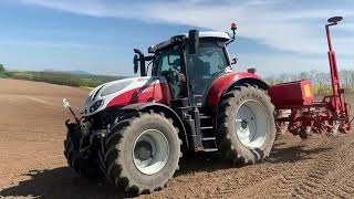 Steyr 6165 ImpulsCVT-Agrometal sejba kukurice