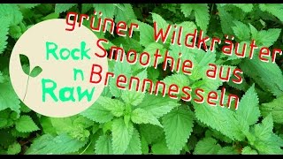 Grüner Wildkräuter Smoothie aus Brennnesseln zum Frühstück!