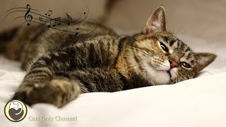 Music for Cats - Relaxing Sleep Music & Stress Relief / Peaceful Piano Music to Calm Cats