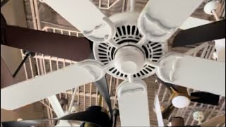 Ceiling fans and lighting in a lighting store