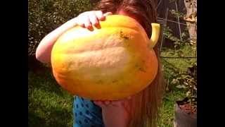 Pittman's Pumpkin Patch, Pittman's Garden Patch 2015 Part 17