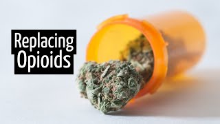 Can I Replace Opioids With Medical Marijuana? Marijuana For Beginners | Discover Marijuana