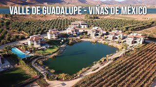 Tesoros ocultos del Valle de Guadalupe: un vuelo mágico sobre las vinícolas mexicanas de El Cielo"