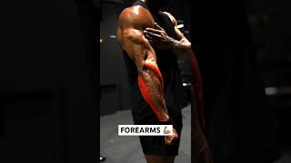 SAVE this Forearm workout to add onto your next upper session 💪🏽 #shorts