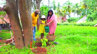 Somatheeram Ayurveda Group Celebrates World Environment Day.