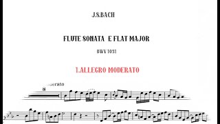 J.S.Bach Flute Sonata No 2 ,BWV 1031/accompaniment 1.Allegro Moderato