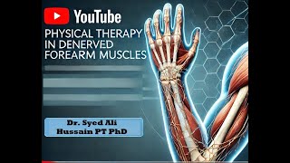 Physical Therapy in Denervated Forearm Muscles