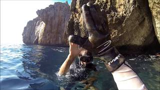 Spearfishing - Best catches - 2015