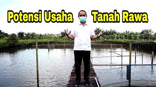 Tanah Rawa Memiliki Potensi Usaha