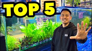 TOP 5 LOW TECH AQUARIUM PLANTS