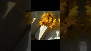 Обои на телефон💛Эстетика жёлтого🌼