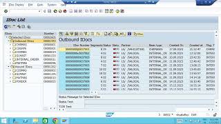 SAP SD: Additional topics Overview- Idocs, batch jobs, Enhancement, Query