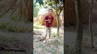 Best Viral TikTok video # Shorts 😧😲#youtobeshorts #s_multimedia