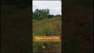 Land for Sale . Sagana 1.1acres 6.5m #reggae #hutproperty #realestate #80smusic