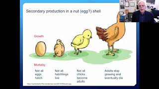 Session 17  Secondary Production