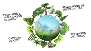 Efectos negativos del cambio climático