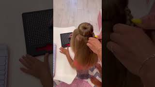 Tutoriel Coiffure 💇‍♀️ pour fille✨