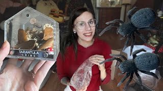 UNBOXING the CUTEST ENCLOSURES for my Velvet & Jumping Spiders!