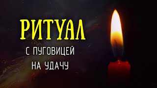 Пуговица Счастья! Пришейте  к себе удачу и счастье